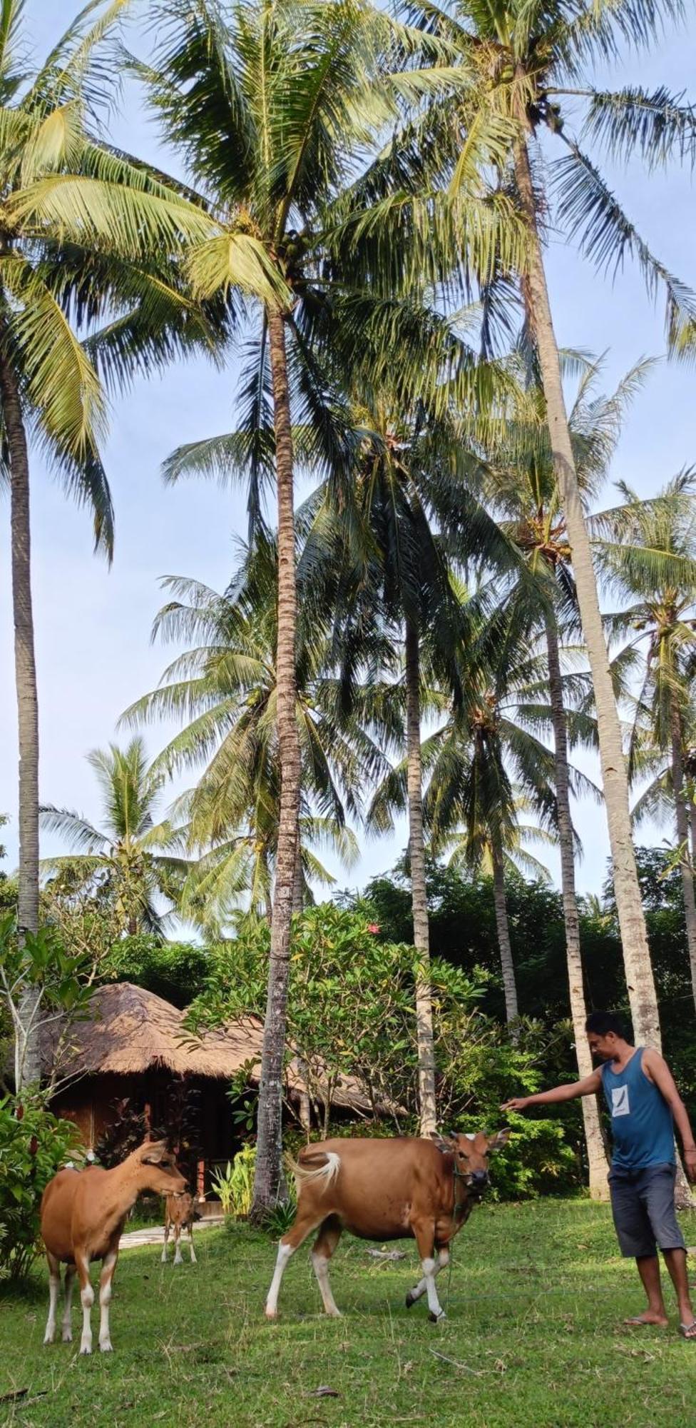 Lendang Eco Lodge Senggigi Zewnętrze zdjęcie