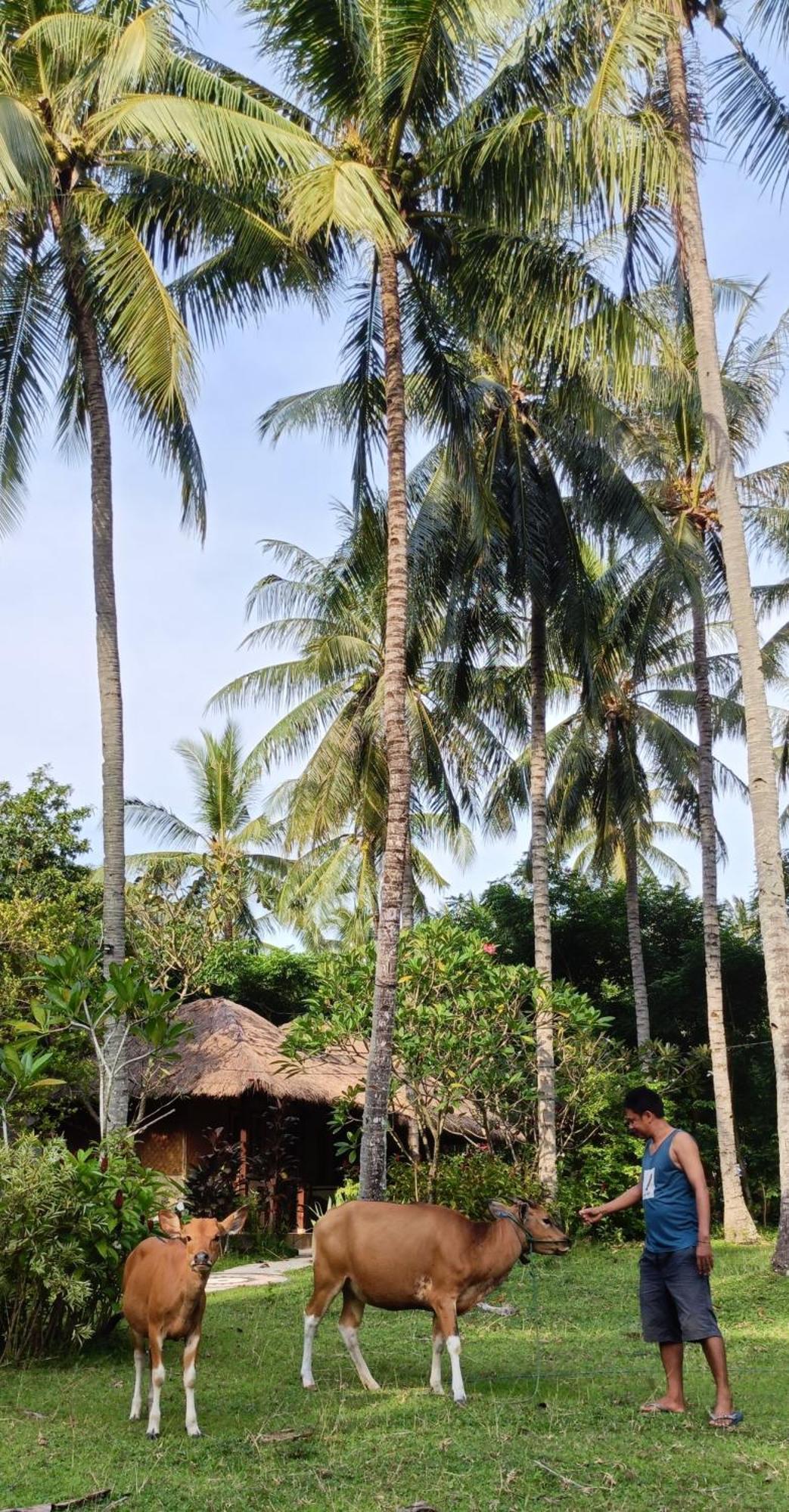 Lendang Eco Lodge Senggigi Zewnętrze zdjęcie