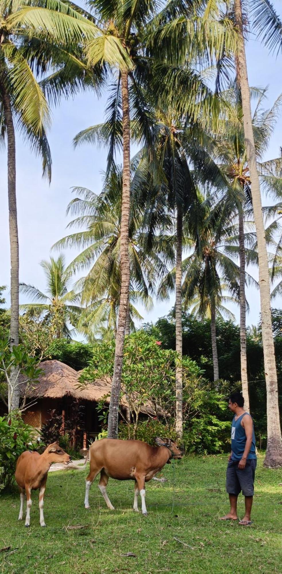 Lendang Eco Lodge Senggigi Zewnętrze zdjęcie