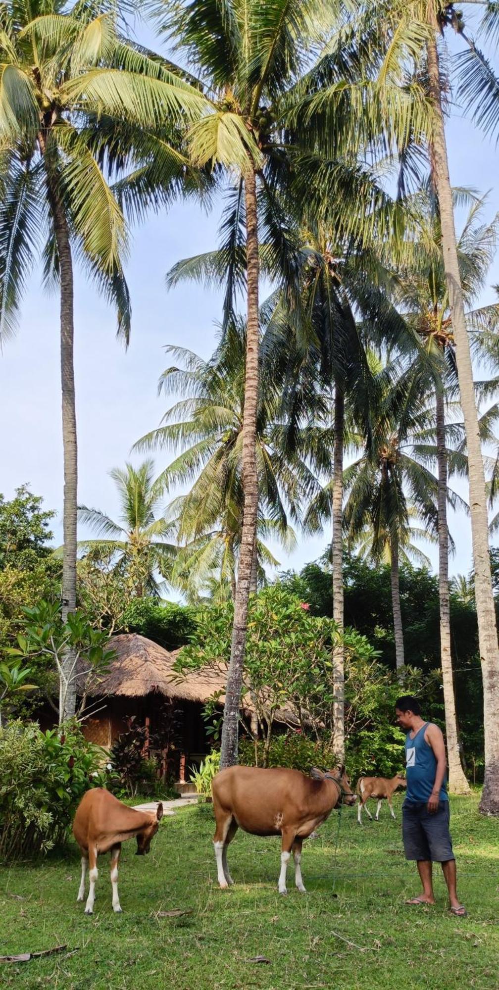 Lendang Eco Lodge Senggigi Zewnętrze zdjęcie